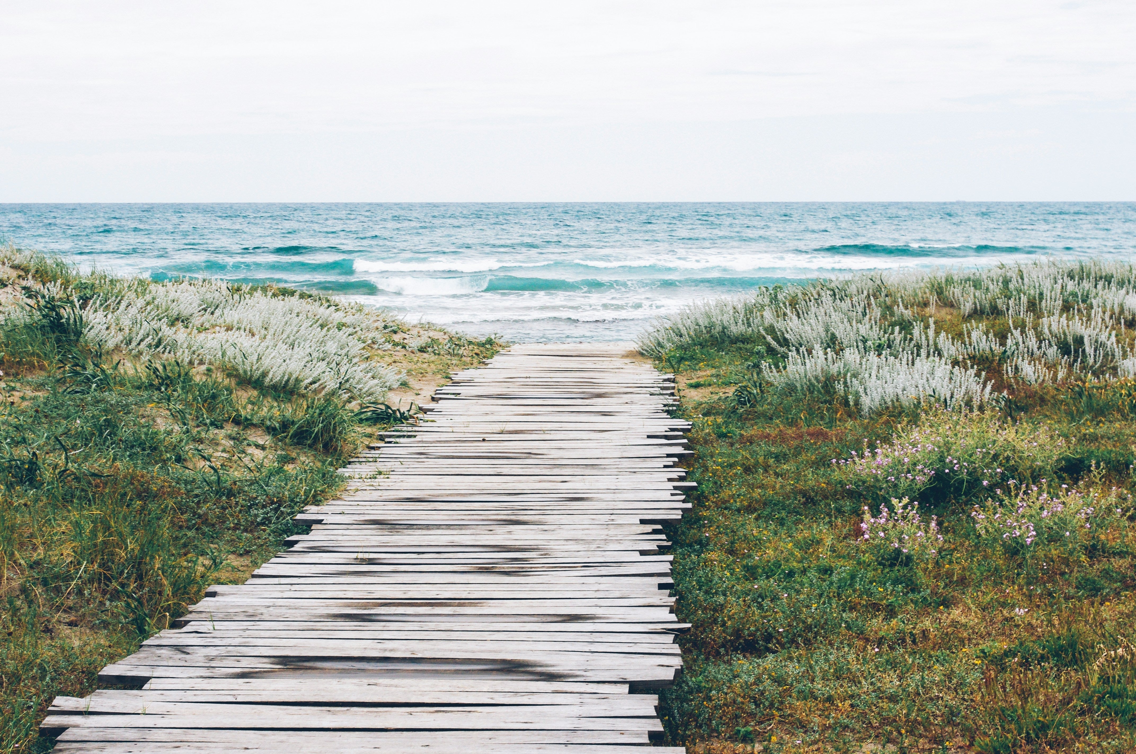 Path to ocean