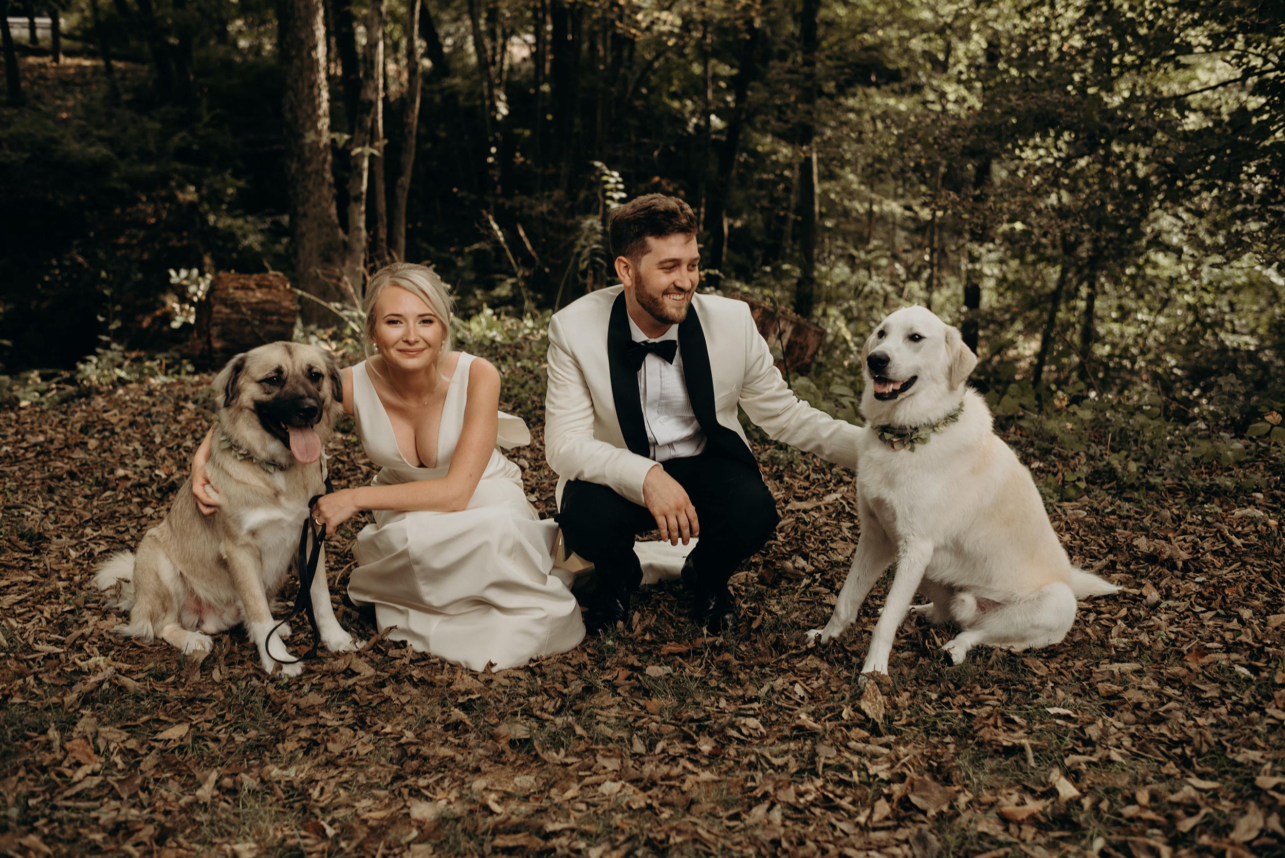 Jim and Jordan Stacy Coyne Wedding Photo with their two dogs