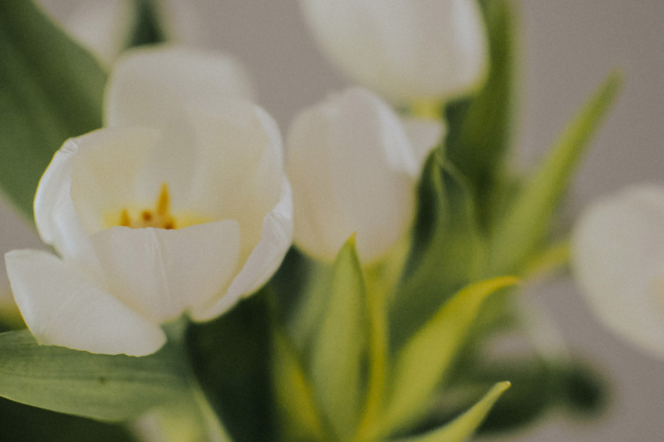 Issue No. 24: Romanticize Your Life