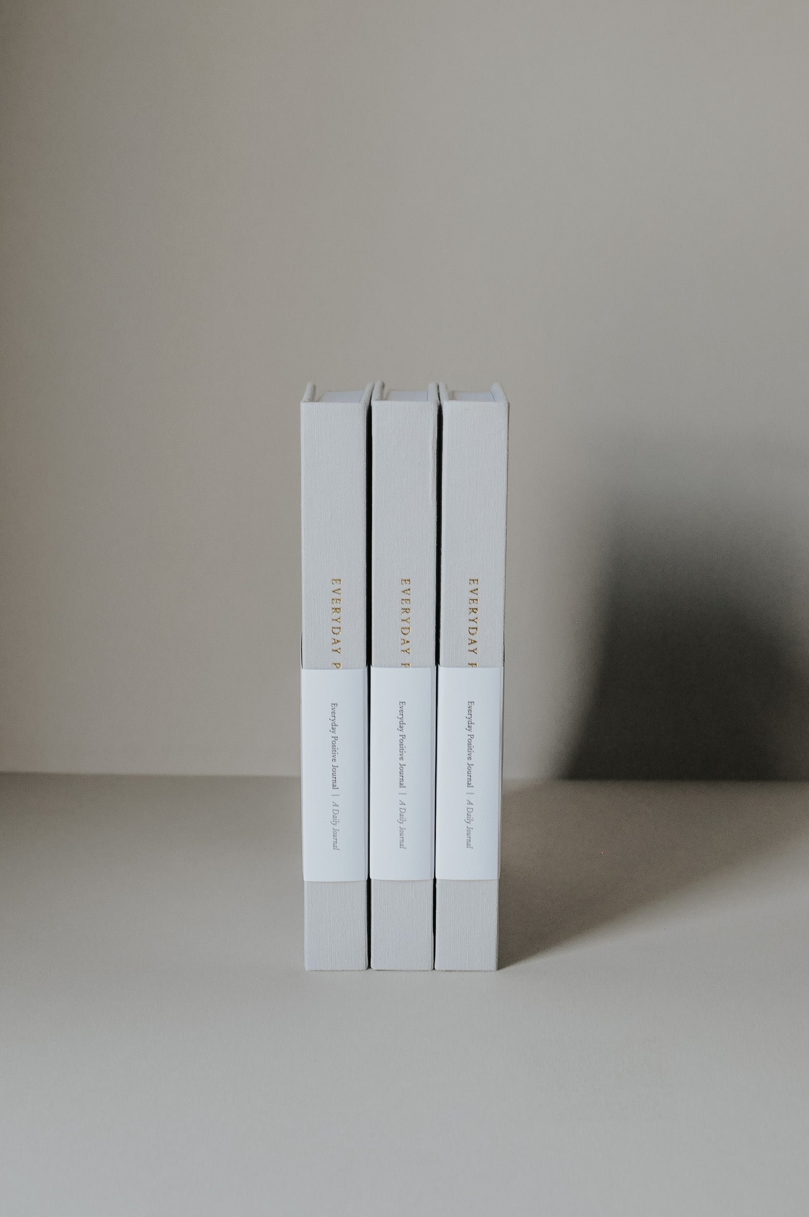 Everyday Positive Journal spine view