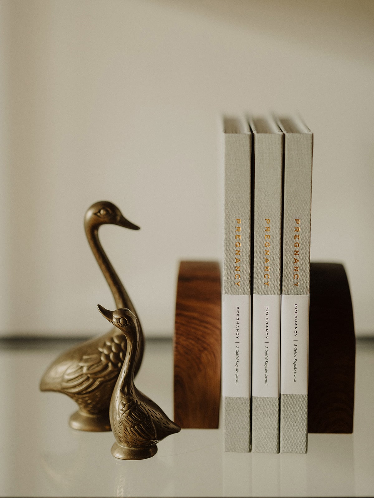 Three Pregnancy Journals on a shelf with brass duck decor