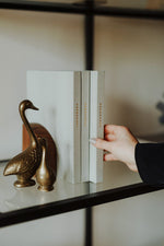 Load image into Gallery viewer, Person taking a Pregnancy Journal off a bookshelf with brass duck decor
